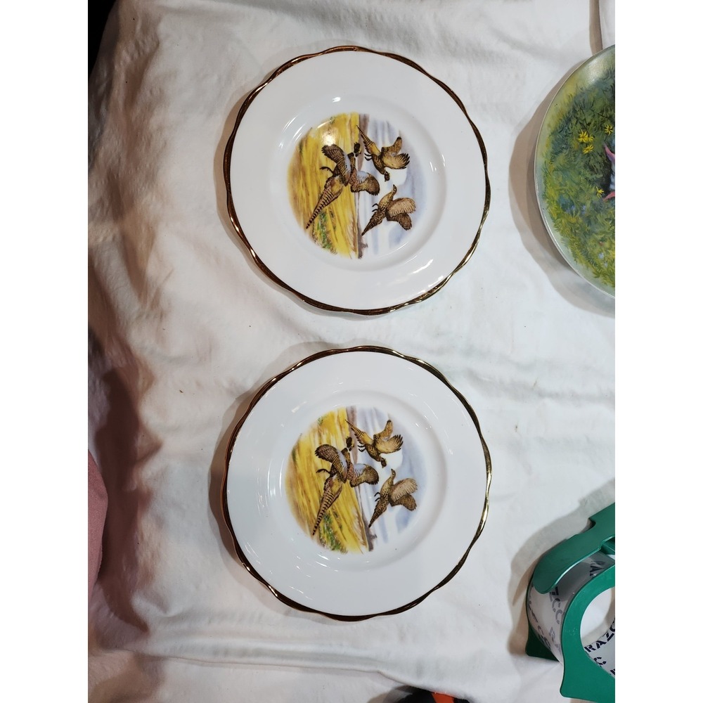 (2)-Vintage Queen Anne Fine Bone China,8" Plate Springer Spaniels& Grouse Design